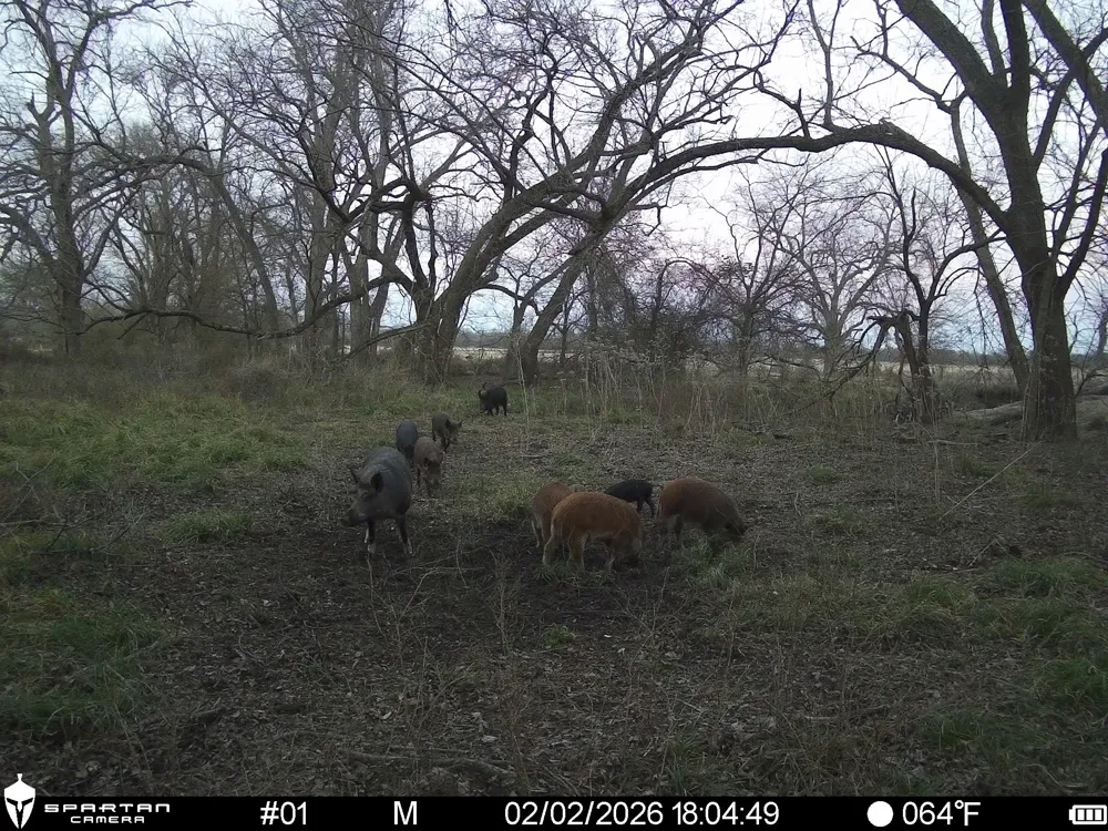LCR 412 Groesbeck, TX 76642