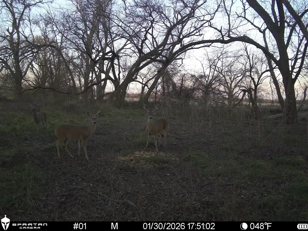 LCR 412 Groesbeck, TX 76642