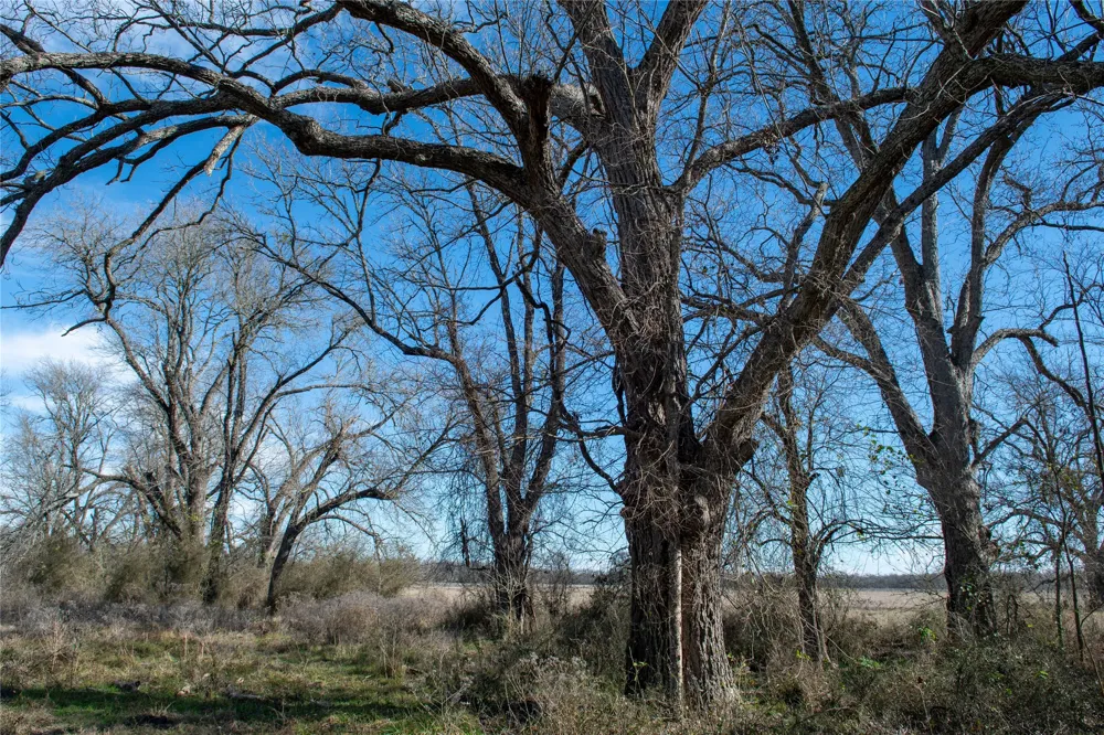 LCR 412 Groesbeck, TX 76642