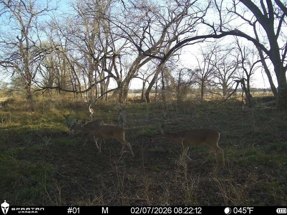 LCR 412 Groesbeck, TX 76642
