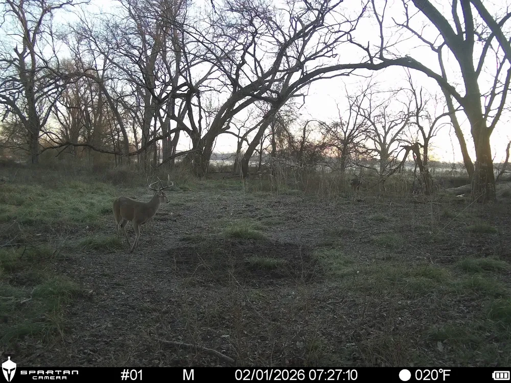 LCR 412 Groesbeck, TX 76642
