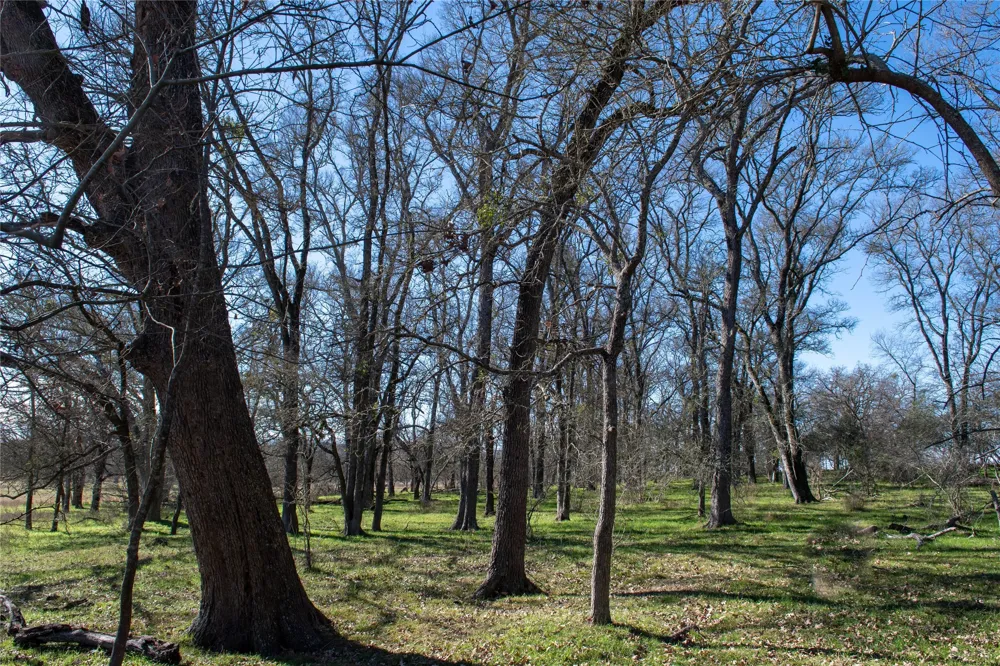LCR 412 Groesbeck, TX 76642