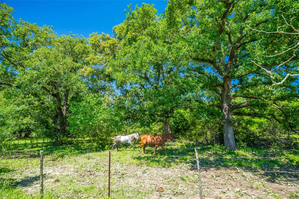 LCR 412 Groesbeck, TX 76642