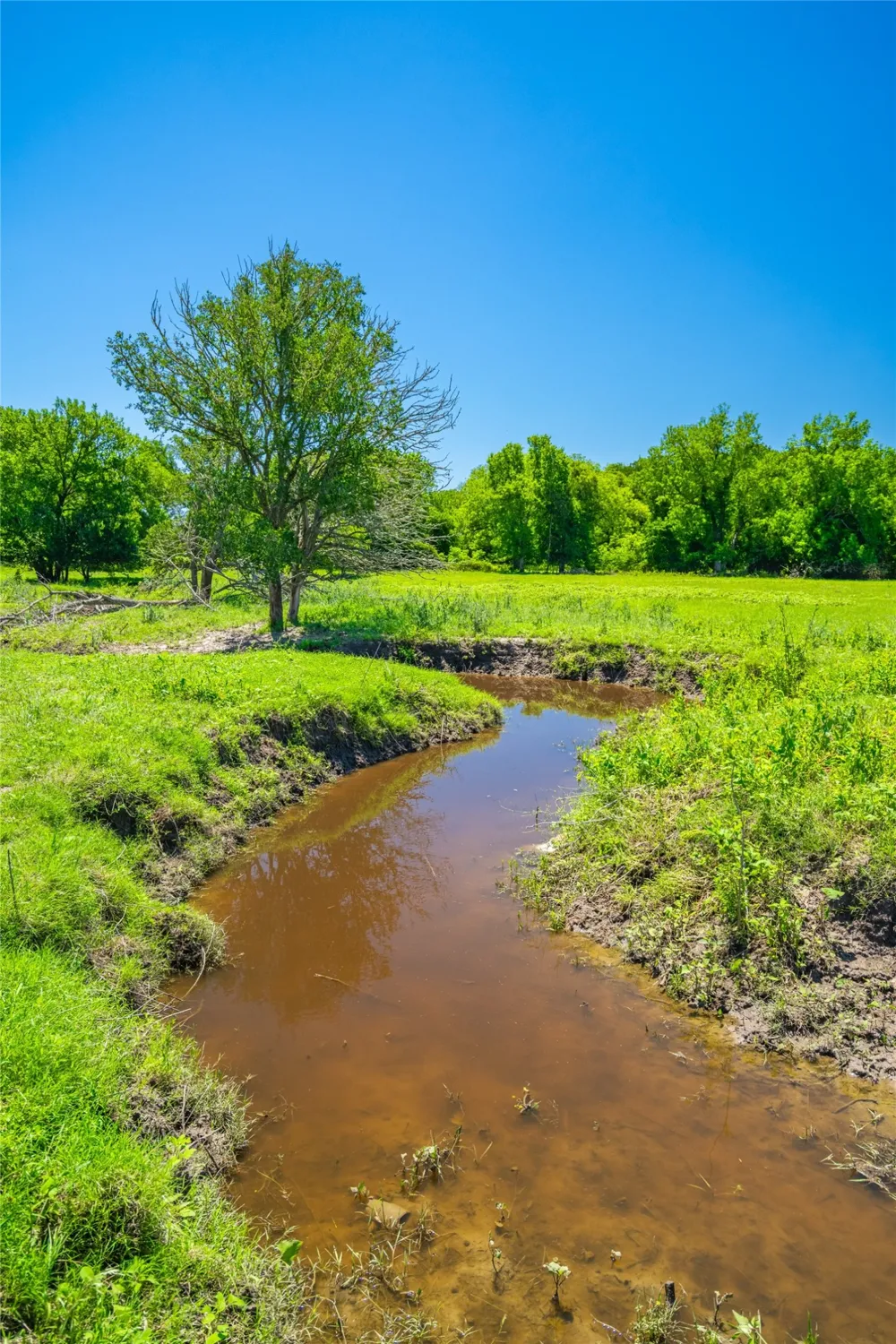 LCR 412 Groesbeck, TX 76642