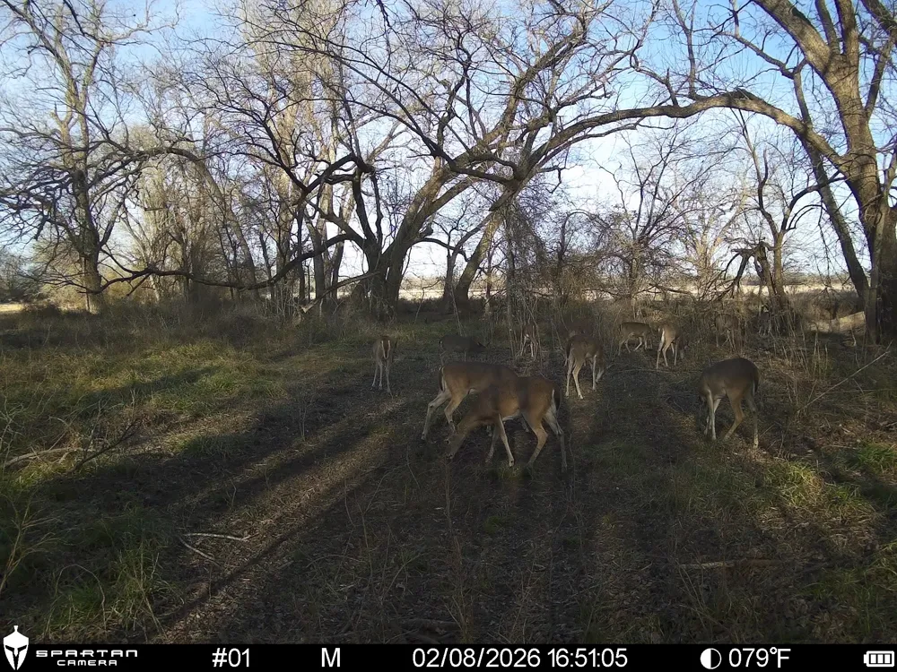 LCR 412 Groesbeck, TX 76642