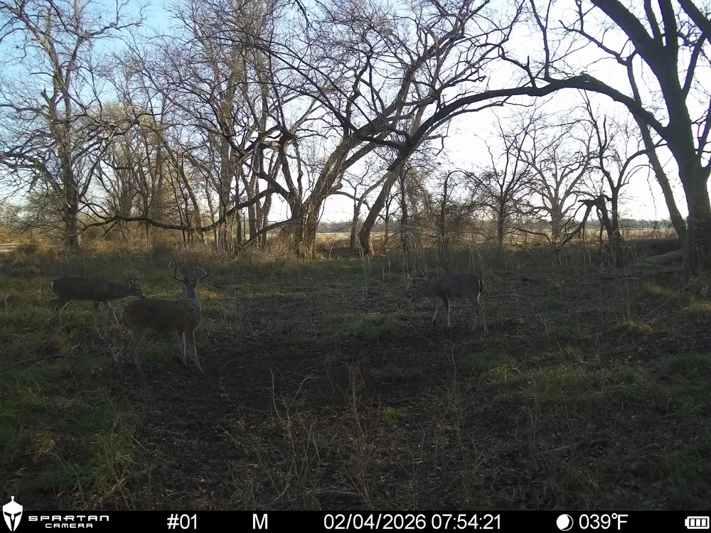 LCR 412 Groesbeck, TX 76642