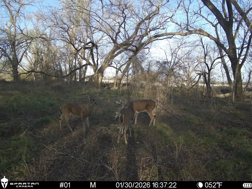 LCR 412 Groesbeck, TX 76642