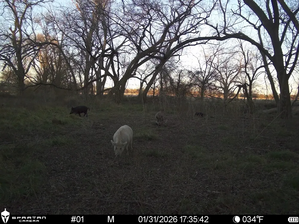 LCR 412 Groesbeck, TX 76642