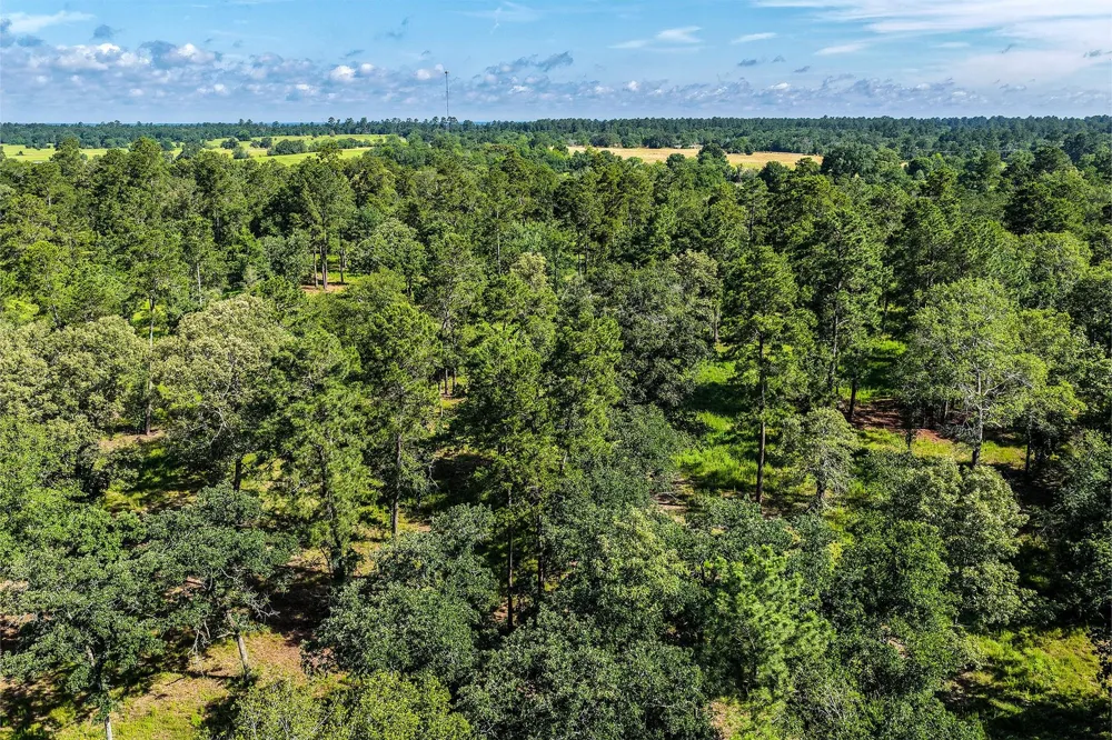 14 Westview Dr Huntsville, TX 77320