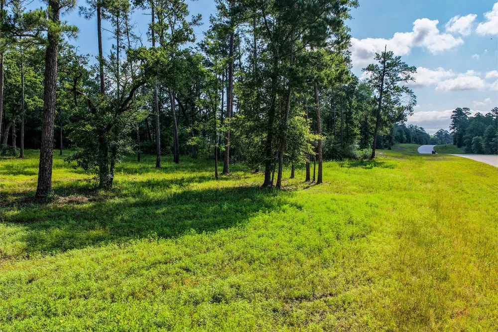 14 Westview Dr Huntsville, TX 77320
