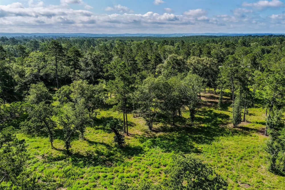 14 Westview Dr Huntsville, TX 77320