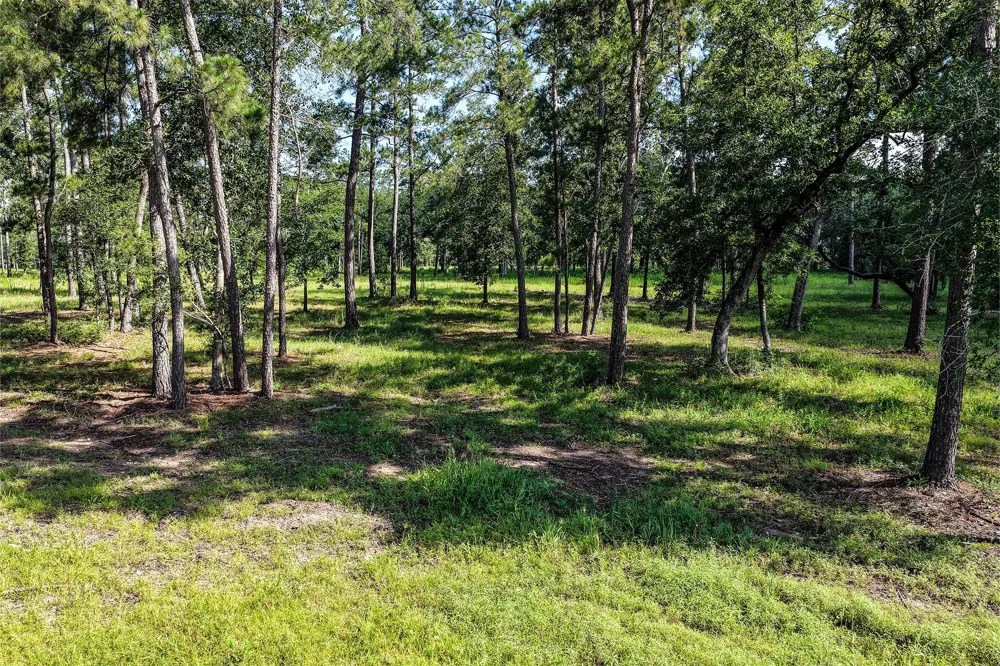 14 Westview Dr Huntsville, TX 77320