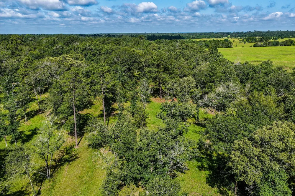 14 Westview Dr Huntsville, TX 77320