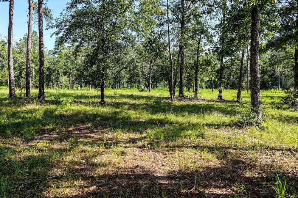 14 Westview Dr Huntsville, TX 77320
