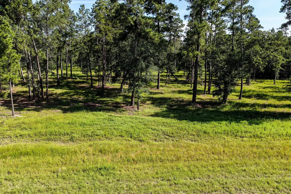 14 Westview Dr Huntsville, TX 77320