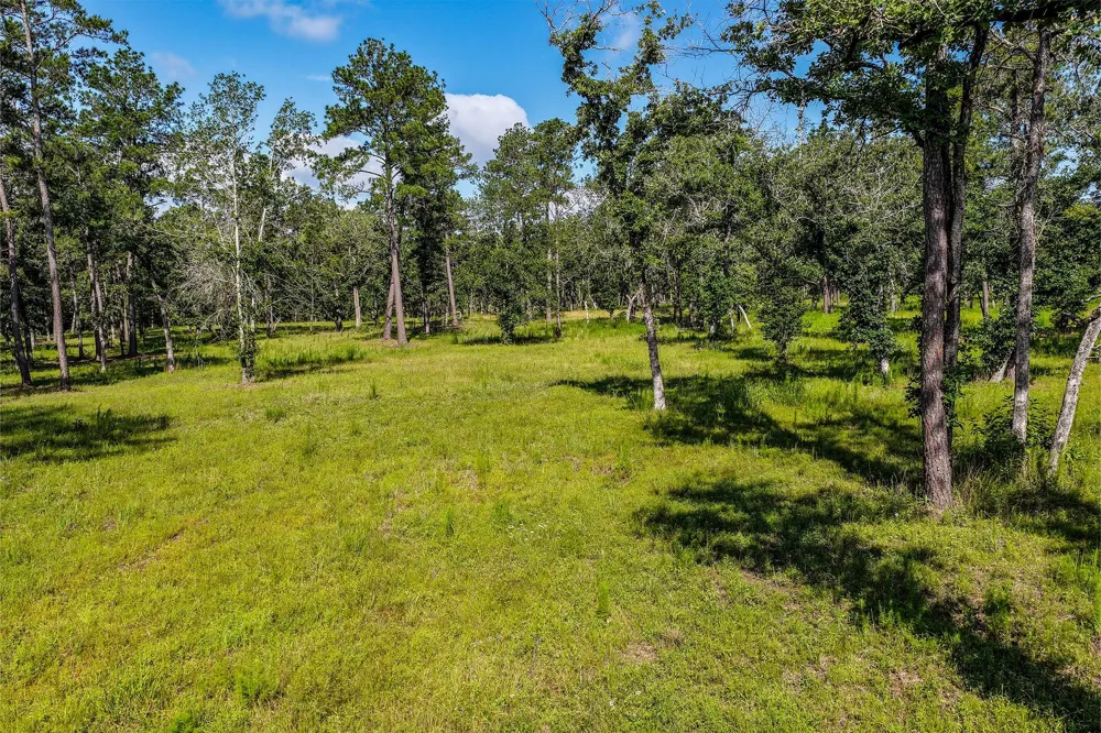 14 Westview Dr Huntsville, TX 77320
