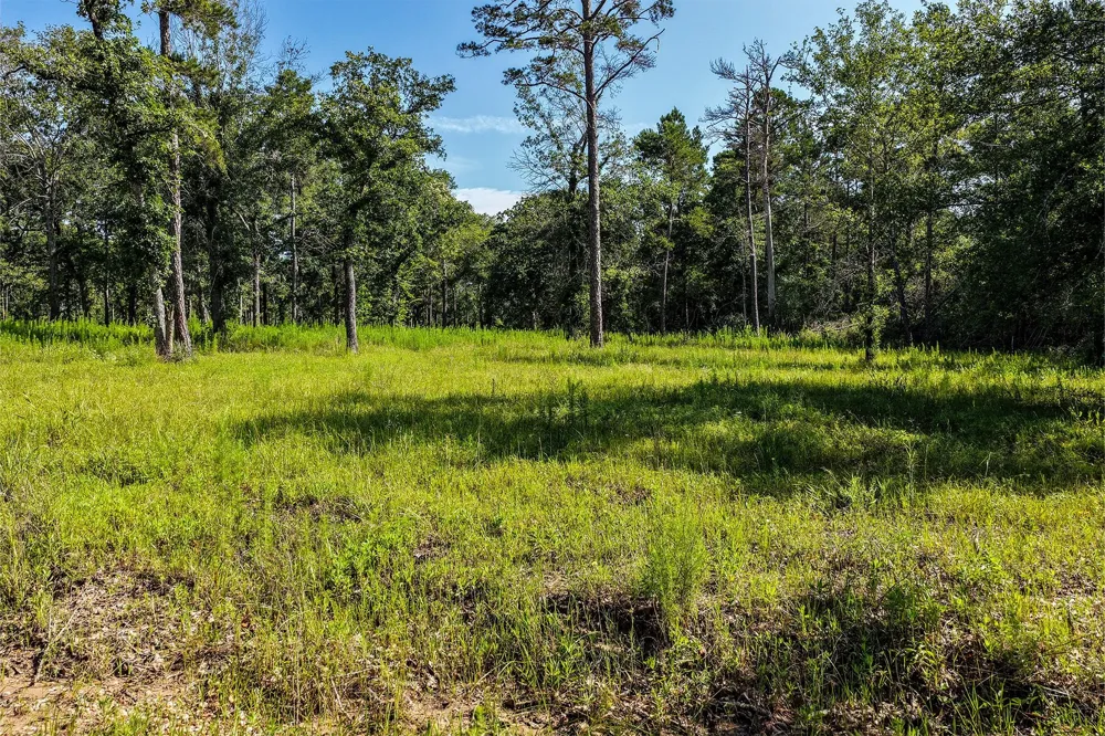14 Westview Dr Huntsville, TX 77320