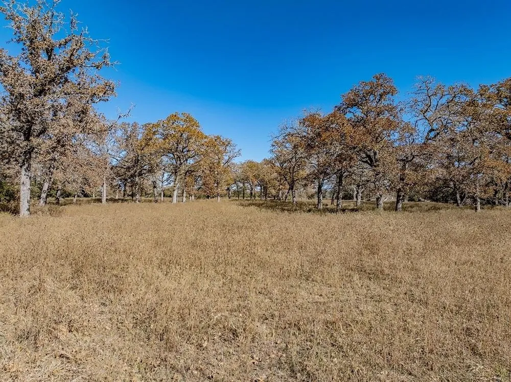 Hwy 71 By- Feeder Road La Grange, TX 78945