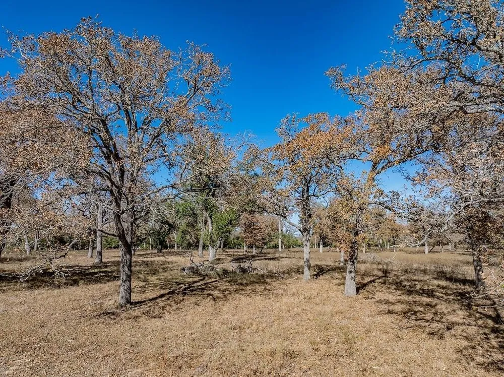 Hwy 71 By- Feeder Road La Grange, TX 78945