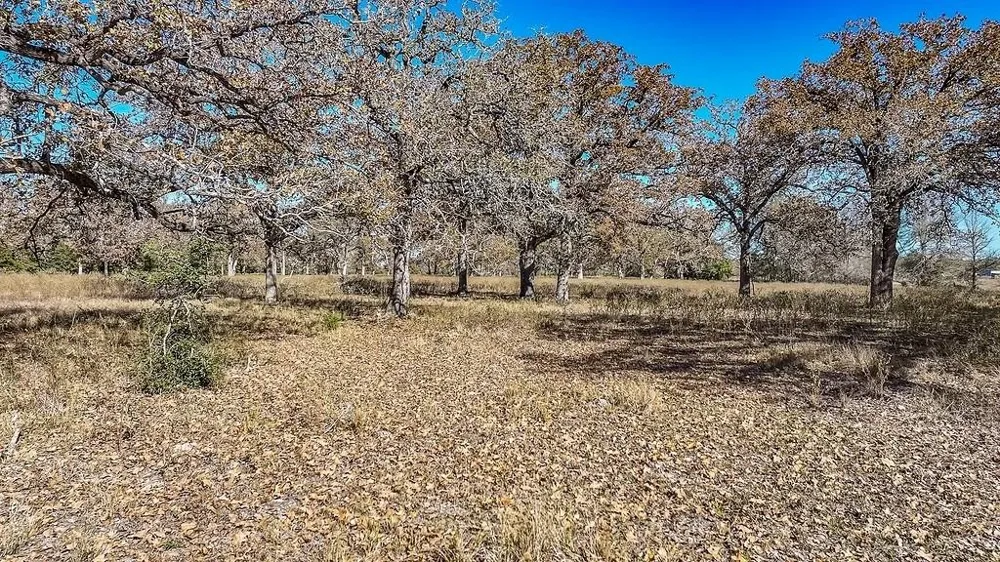 Hwy 71 By- Feeder Road La Grange, TX 78945