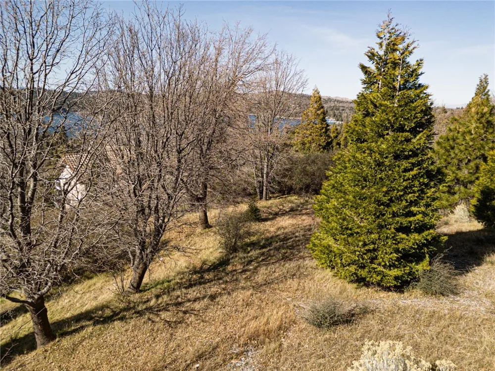 137 Mill Pond Road Lake Arrowhead, CA 92352