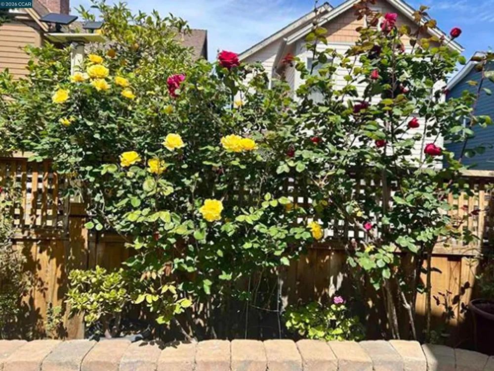 2036 SERRA LN Hercules, CA 94547