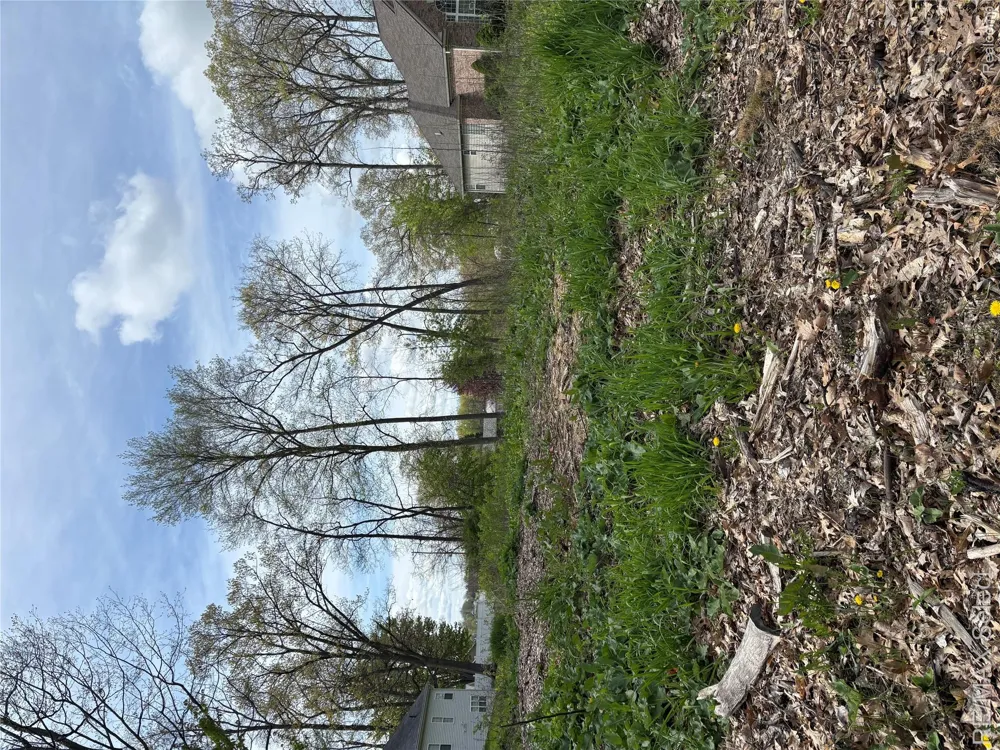 Kovacs Drive Argentine Township, MI 48451