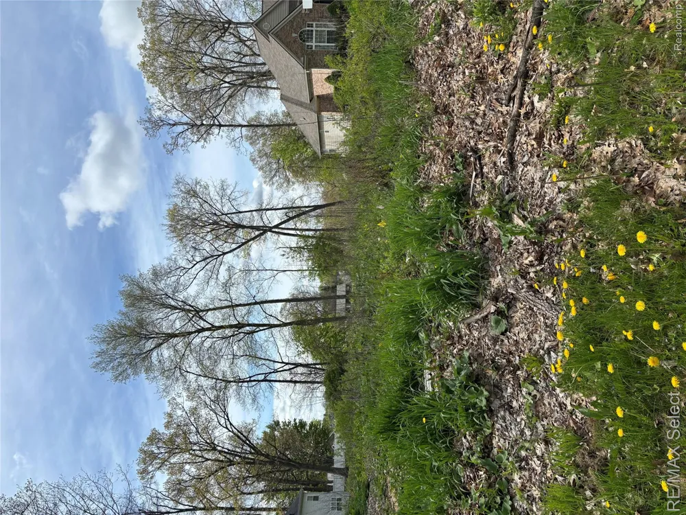 Kovacs Drive Argentine Township, MI 48451