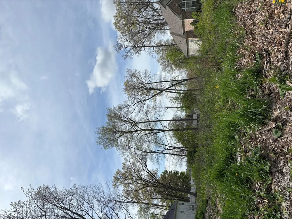 Kovacs Drive Argentine Township, MI 48451