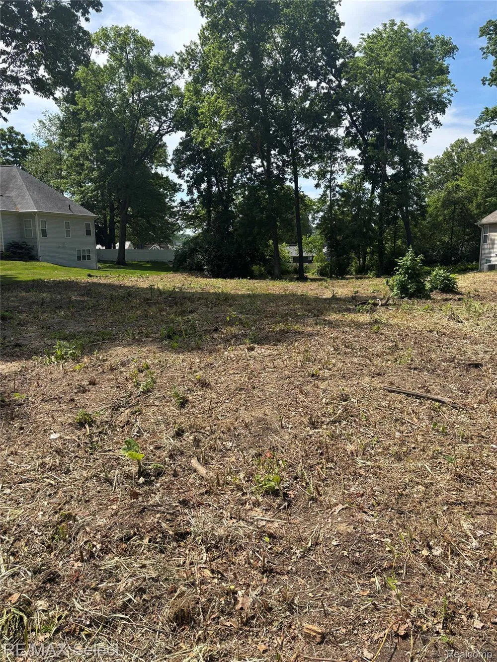Kovacs Drive Argentine Township, MI 48451