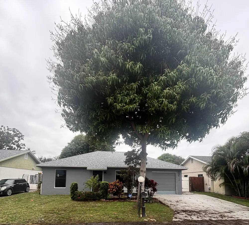 14539 Wood Pine Drive