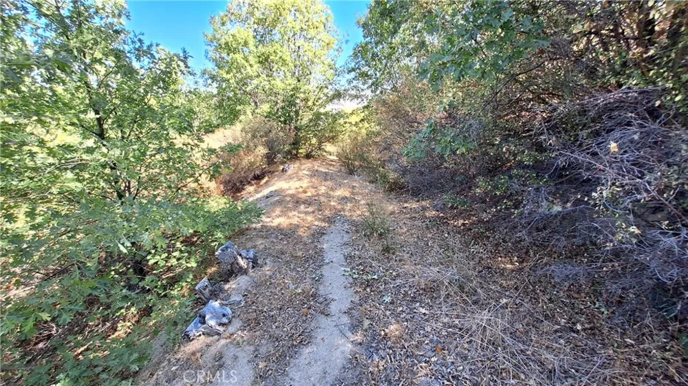 Coulter Cedar Glen, CA 92321