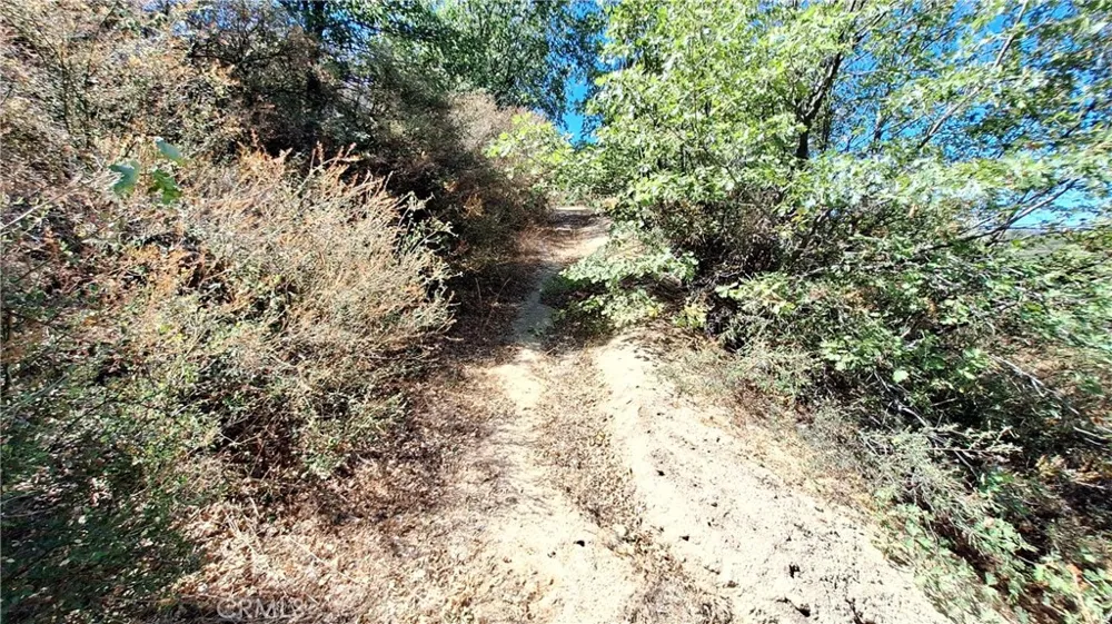 Coulter Cedar Glen, CA 92321