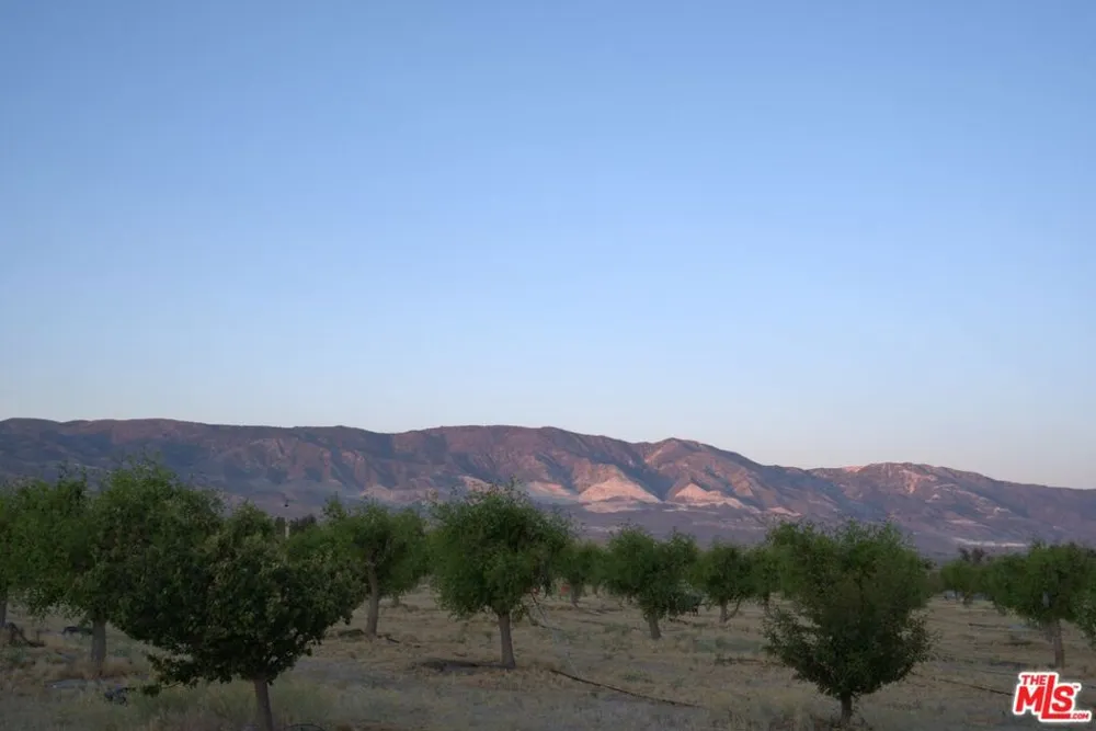 10424 Santa Fe Fire Road Lucerne Valley, CA 92356