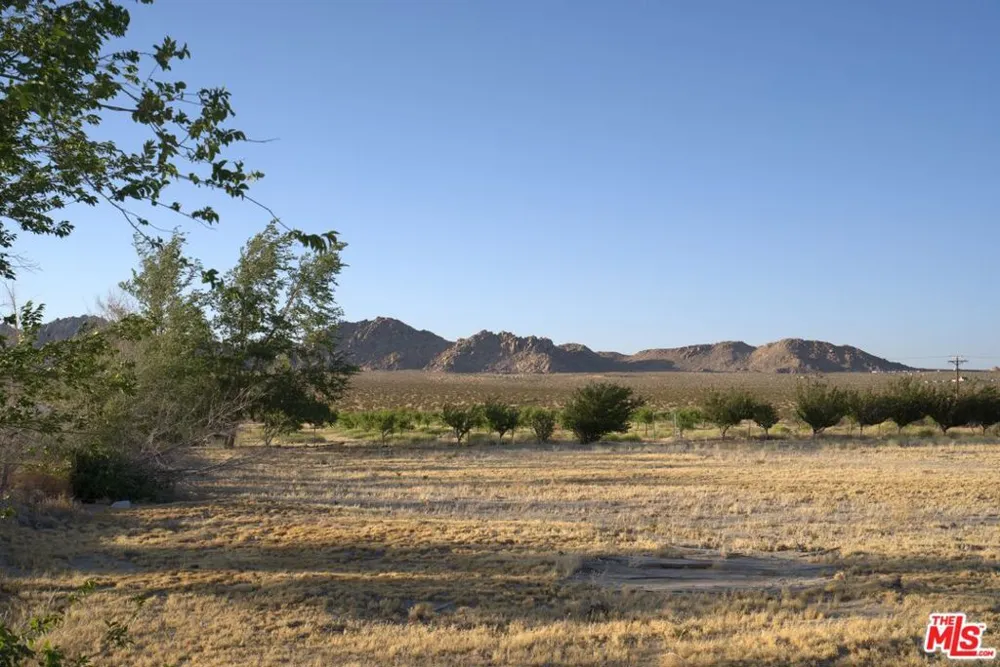 10424 Santa Fe Fire Road Lucerne Valley, CA 92356