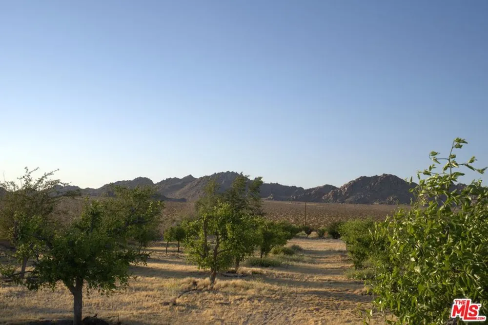 10424 Santa Fe Fire Road Lucerne Valley, CA 92356