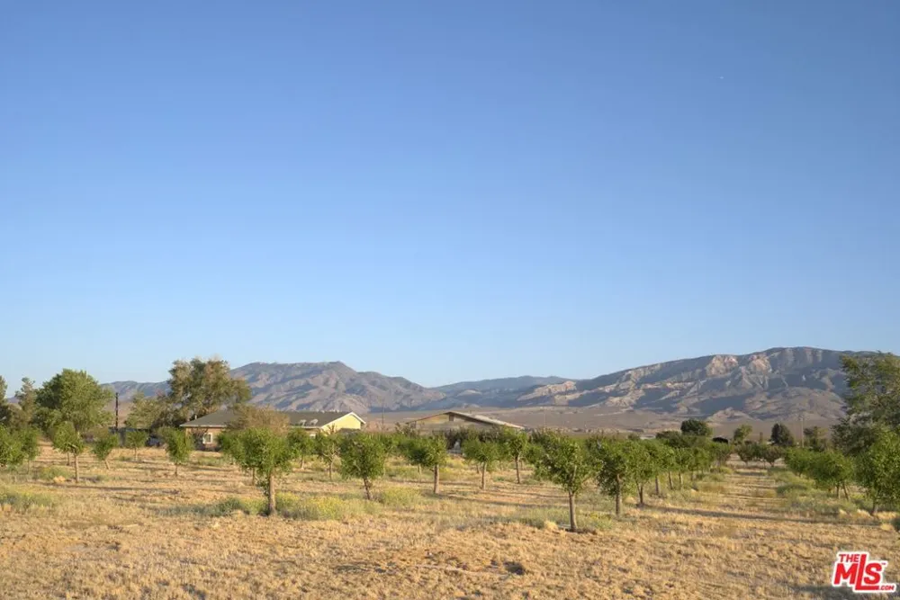 10424 Santa Fe Fire Road Lucerne Valley, CA 92356
