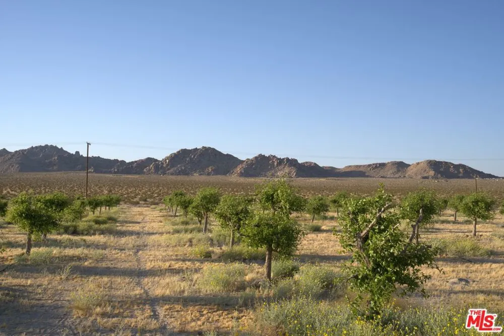 10424 Santa Fe Fire Road Lucerne Valley, CA 92356