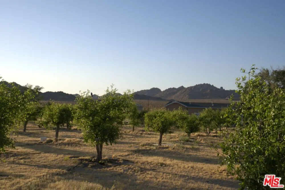10424 Santa Fe Fire Road Lucerne Valley, CA 92356