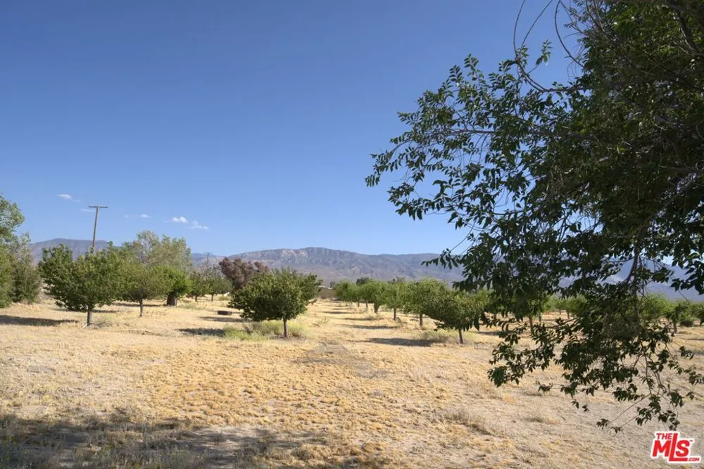 10424 Santa Fe Fire Road Lucerne Valley, CA 92356