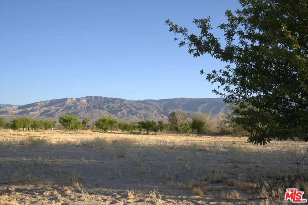 10424 Santa Fe Fire Road Lucerne Valley, CA 92356