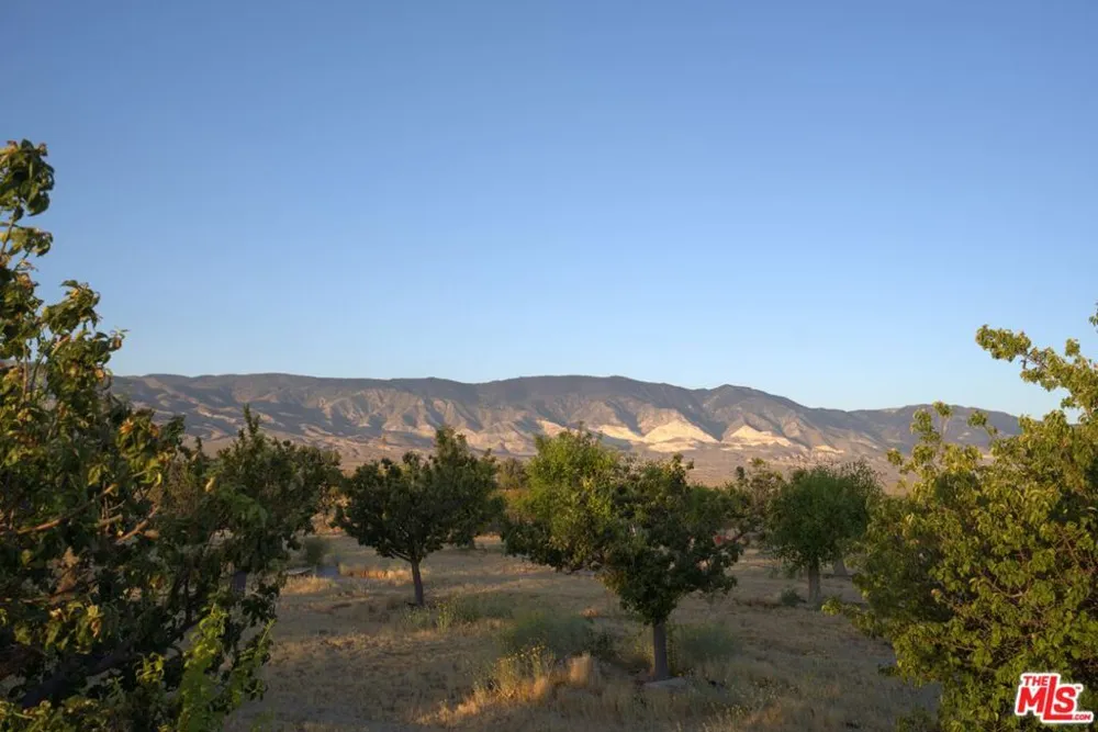 10424 Santa Fe Fire Road Lucerne Valley, CA 92356