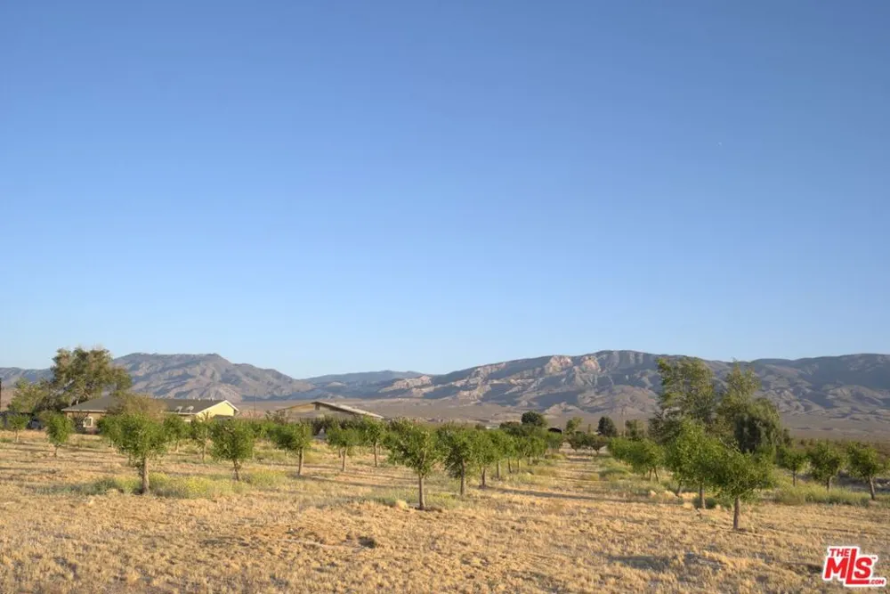 10424 Santa Fe Fire Road Lucerne Valley, CA 92356