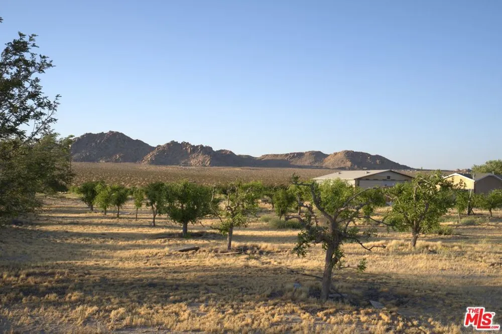 10424 Santa Fe Fire Road Lucerne Valley, CA 92356