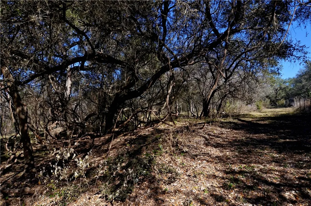 Highway 181 Beeville, TX 78102