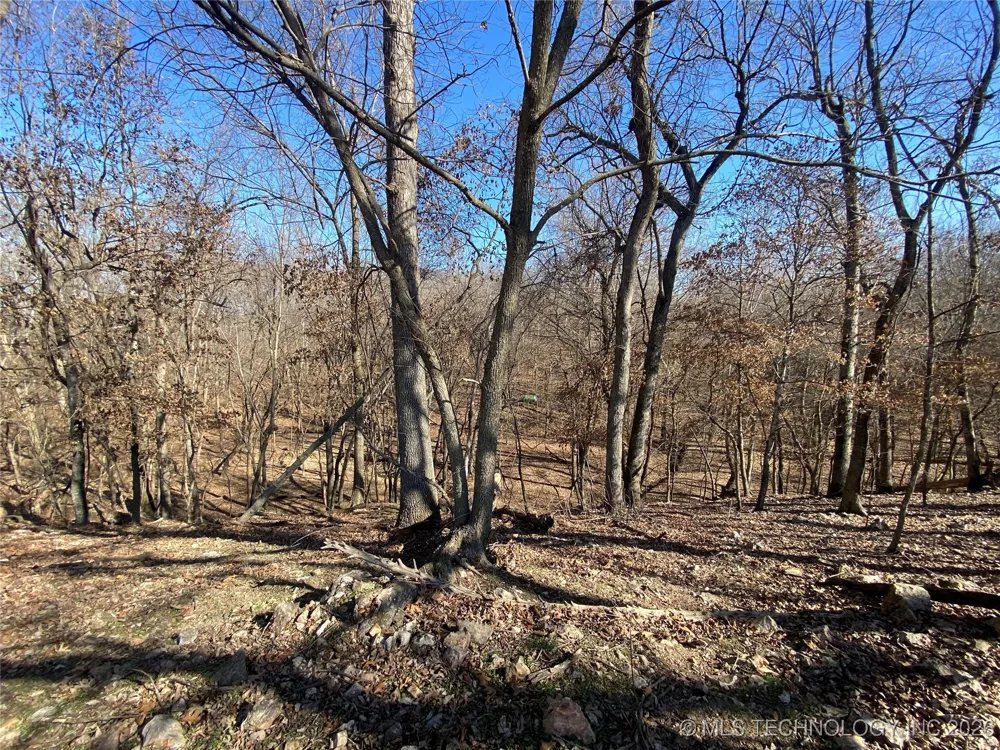 20218 E 430 ROAD Jay, OK 74346