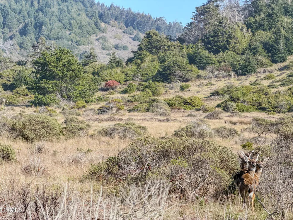 37601 Highway 1 Westport, CA 95488