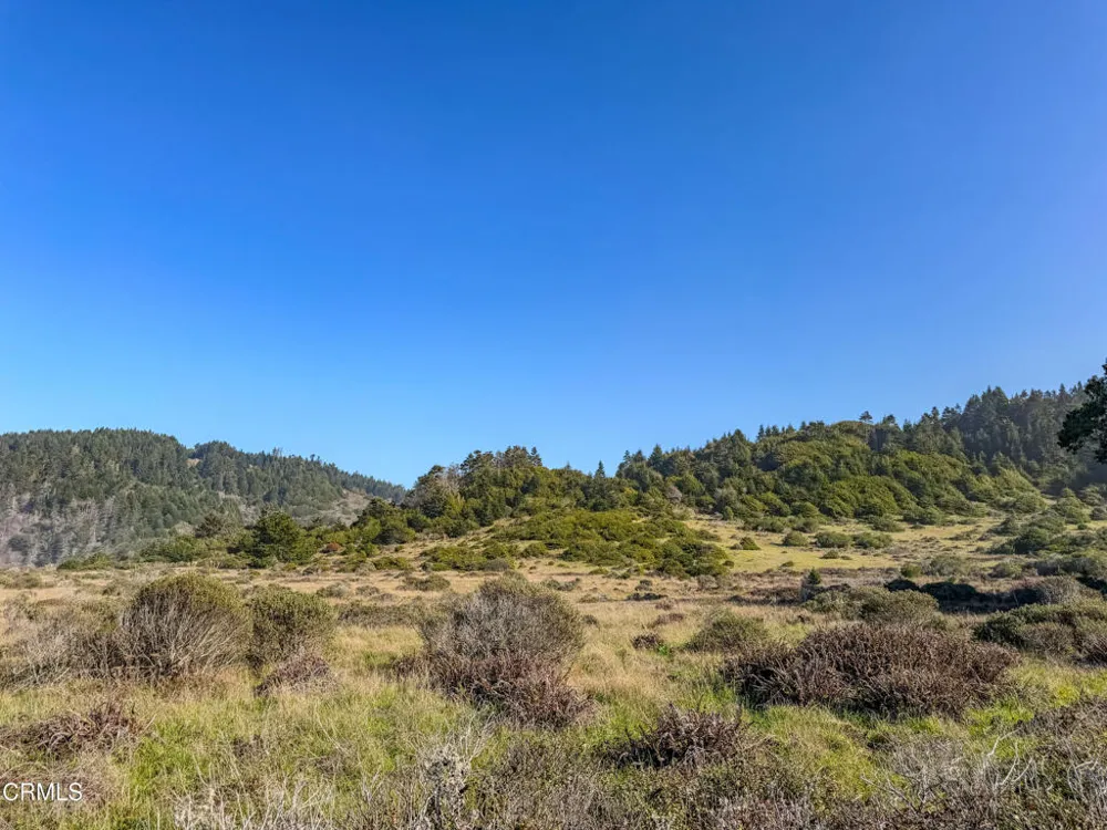 37601 Highway 1 Westport, CA 95488