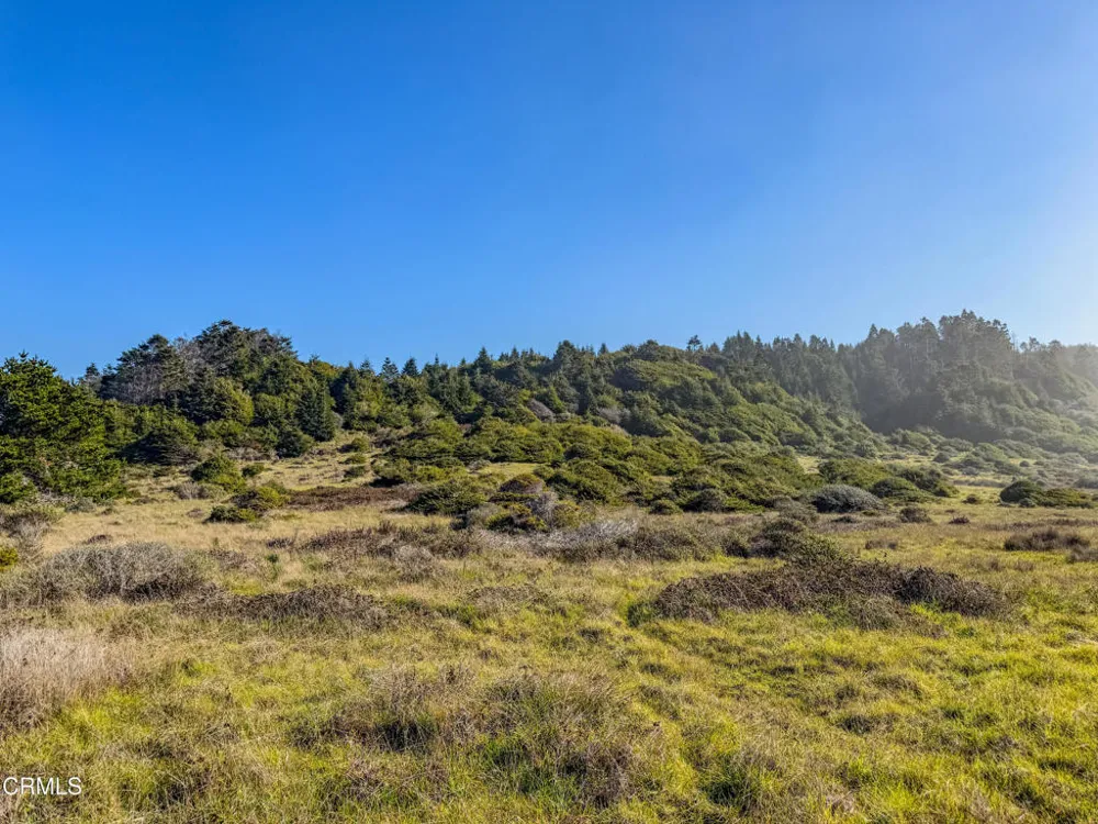 37601 Highway 1 Westport, CA 95488