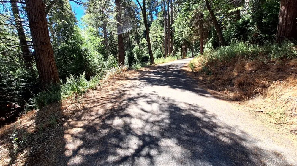 Cedar Pines Cedarpines Park, CA 92322